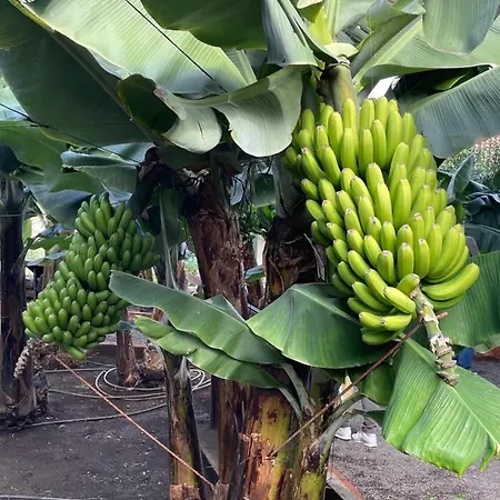 Relax Monis Incredible Ocean Views