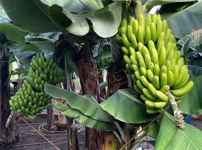 Relax Monis Incredible Ocean Views